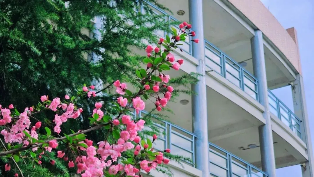 精准施策提质效 凝心聚力备中考——盛泽一中迎接吴江区教研室复习教学专项集中调研-第59张图片-四季读书网