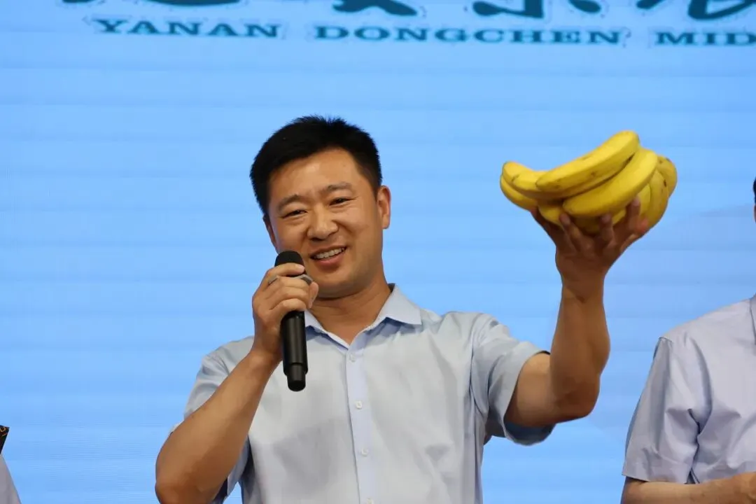 放松身心释压力,聚力前行赢中考——延安东辰中学初三考前心理减压赋能活动圆满举行-第17张图片-四季读书网
