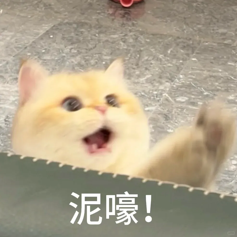雅思小作文范文拆解|搜索引擎真题精讲(表格 + 折线组合图)-第5张图片-四季读书网