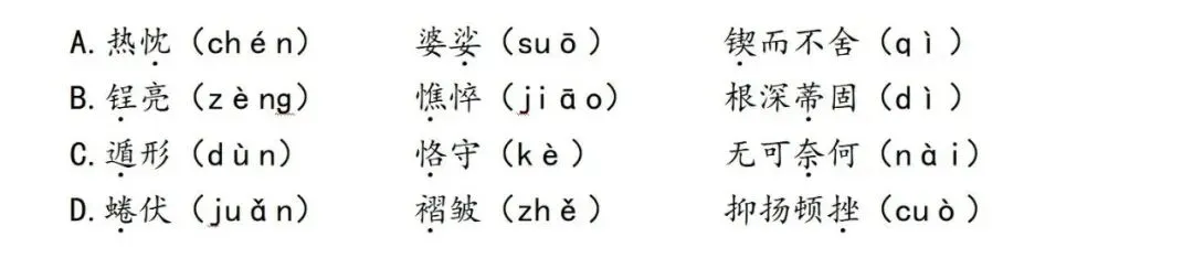 【中考语文学习指导】字音+文化自信+虚拟数字人+农历(积累与运用)天津2025-第3张图片-四季读书网