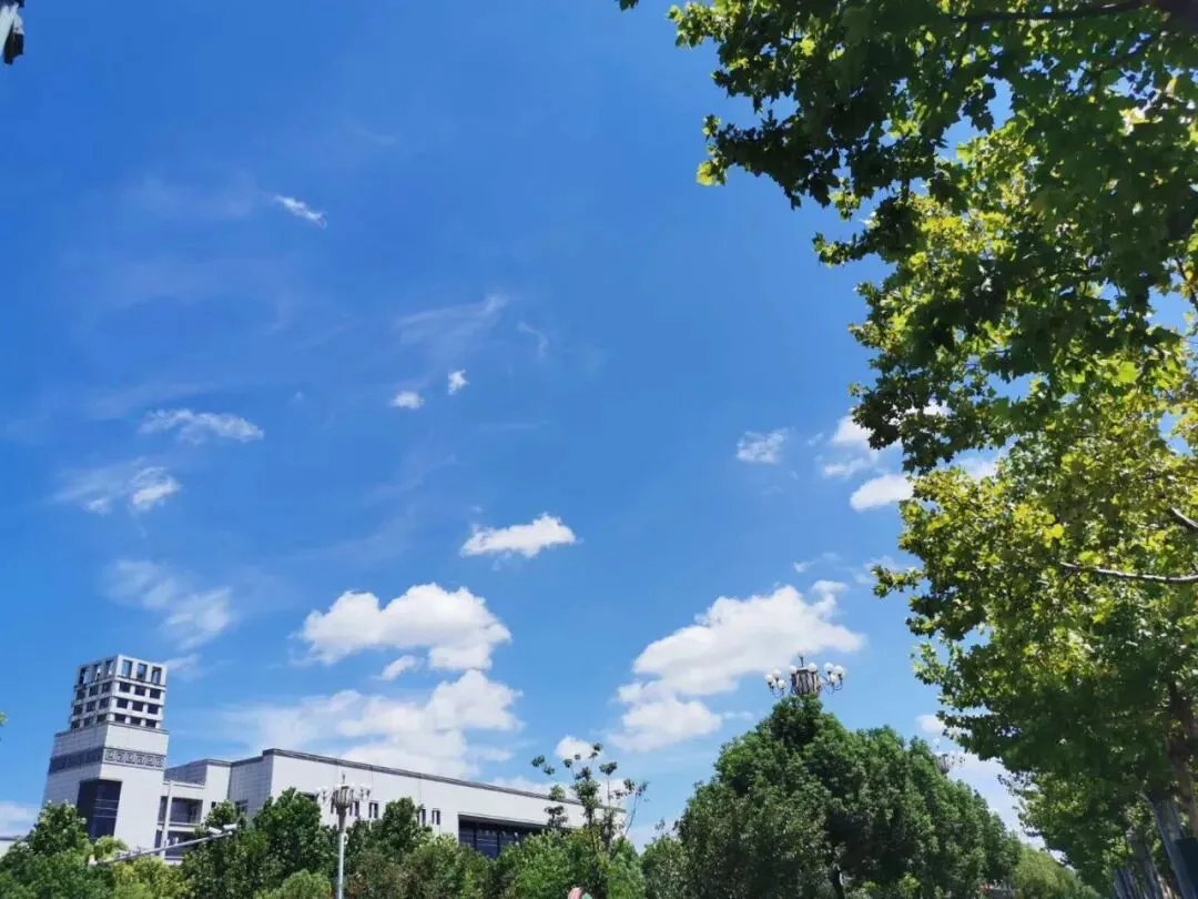 最高级的教育,从不是满分试卷,而是养出鲜活的人-第2张图片-四季读书网 最高级的教育,从不是满分试卷,而是养出鲜活的人-第2张图片-四季读书网