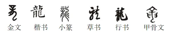 中考冲刺:材料题常考题型专练-第16张图片-四季读书网