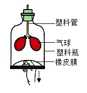 2026年生物中考真题演练5:(2025年黑龙江)-第1张图片-四季读书网