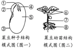 2026年生物中考真题演练5:(2025年黑龙江)-第2张图片-四季读书网