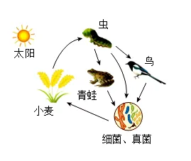 2026年生物中考真题演练5:(2025年黑龙江)-第3张图片-四季读书网