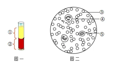 2026年生物中考真题演练5:(2025年黑龙江)-第4张图片-四季读书网