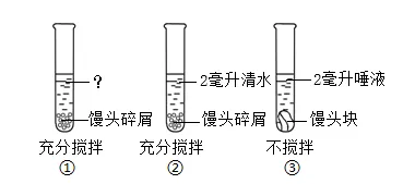 2026年生物中考真题演练5:(2025年黑龙江)-第6张图片-四季读书网