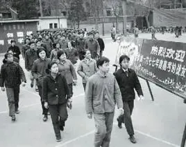 中考冲刺:材料题常考题型专练-第34张图片-四季读书网