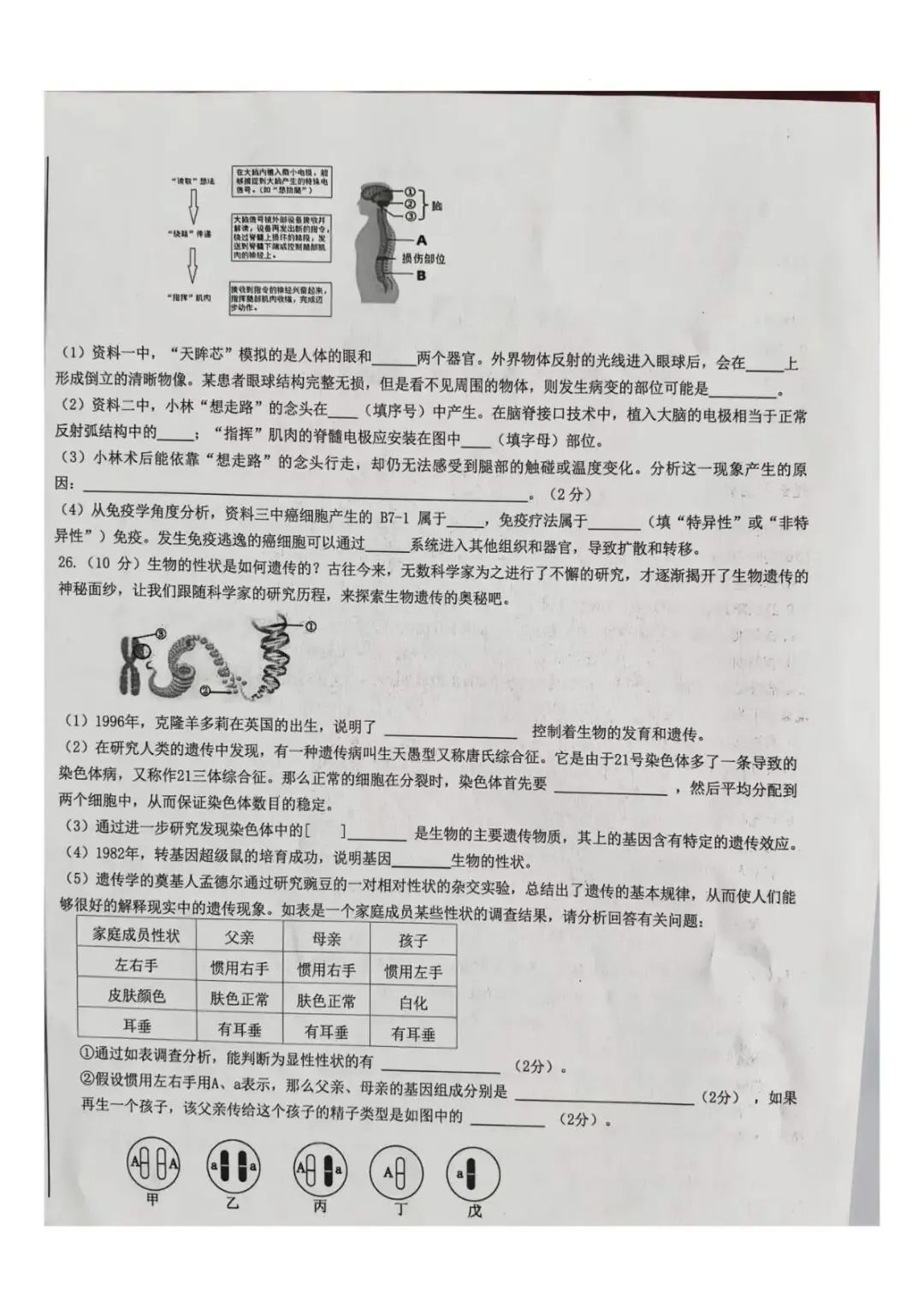 二模真题-2026年临沂市蒙阴县地生小中考生物二模试卷+答案(可下载)-第11张图片-四季读书网
