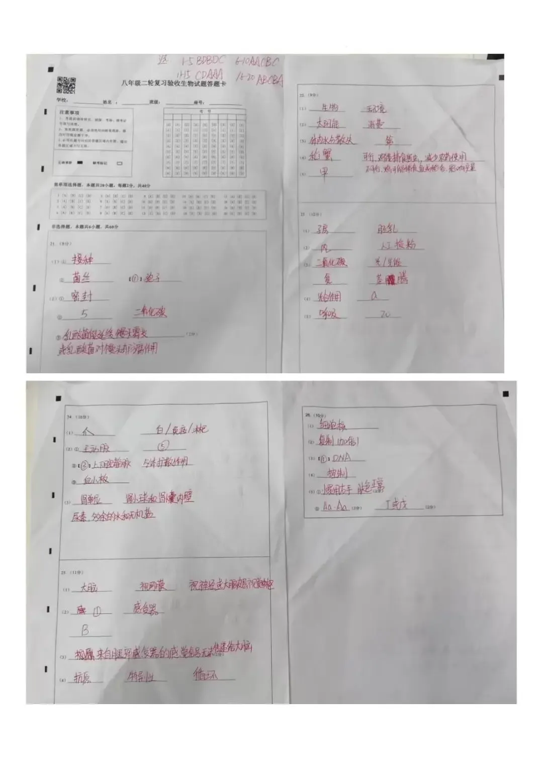 二模真题-2026年临沂市蒙阴县地生小中考生物二模试卷+答案(可下载)-第12张图片-四季读书网