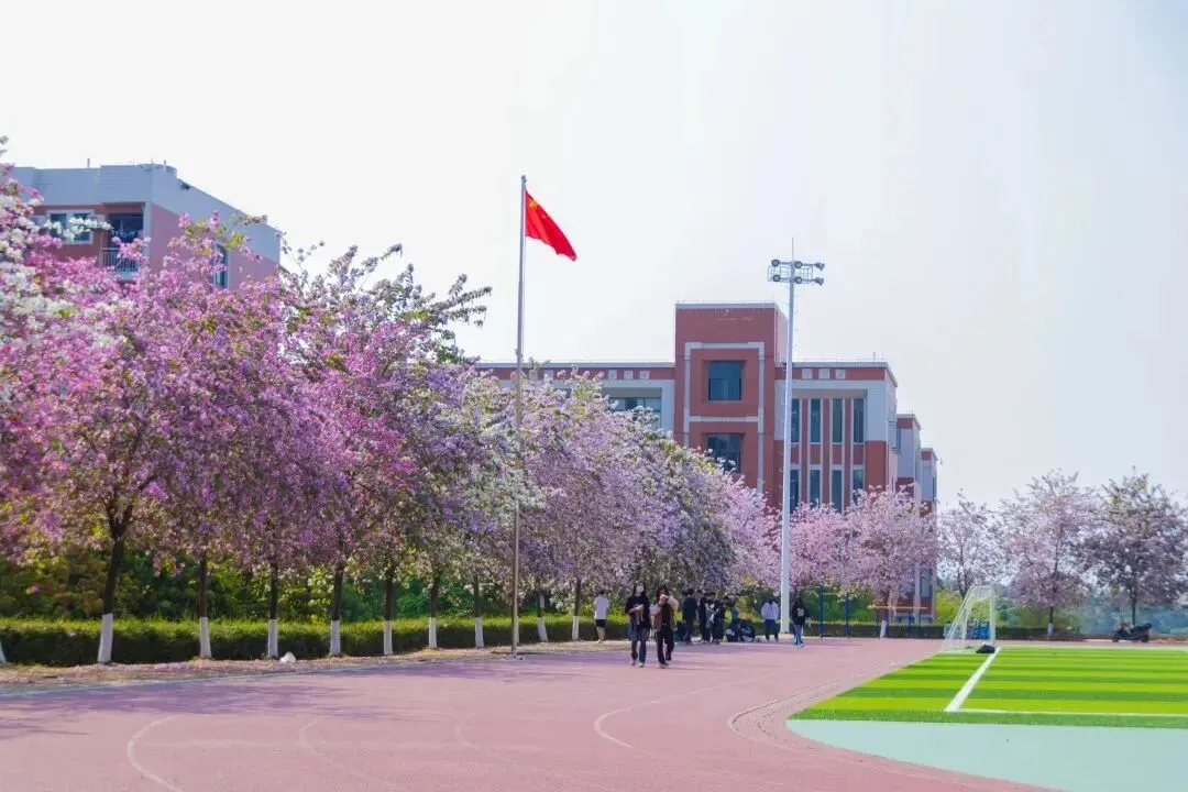 最后倒计时!2026广州中考志愿填报全攻略,考生家长零失误必看|普高落榜优选华商3+证书高考班-第7张图片-四季读书网
