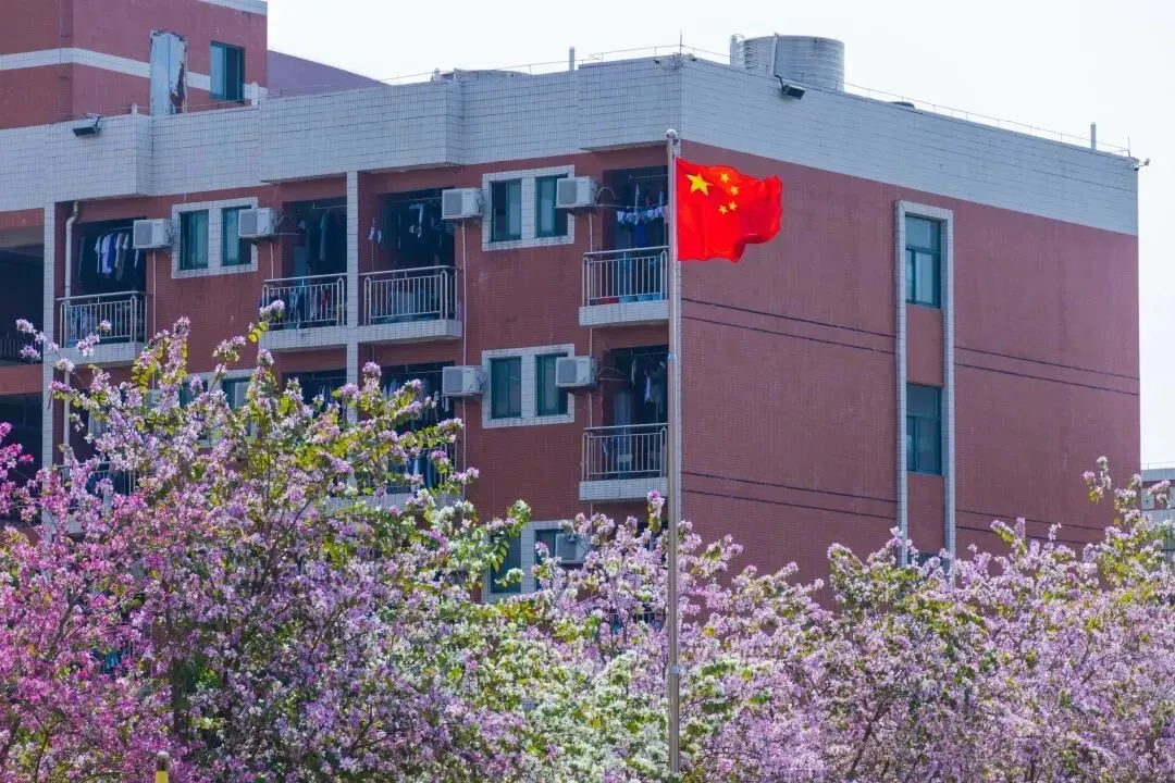 最后倒计时!2026广州中考志愿填报全攻略,考生家长零失误必看|普高落榜优选华商3+证书高考班-第12张图片-四季读书网