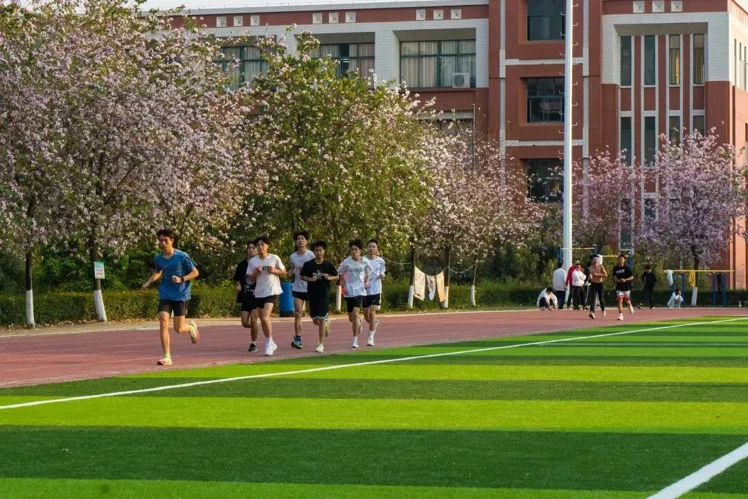 最后倒计时!2026广州中考志愿填报全攻略,考生家长零失误必看|普高落榜优选华商3+证书高考班-第16张图片-四季读书网