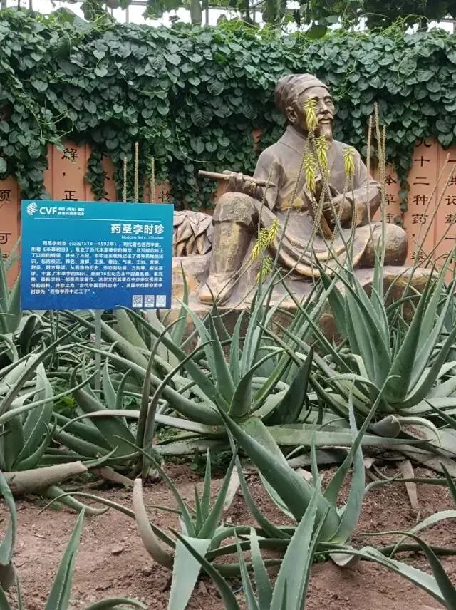 26真题:会议复盘开场白如何准备?-第2张图片-四季读书网
