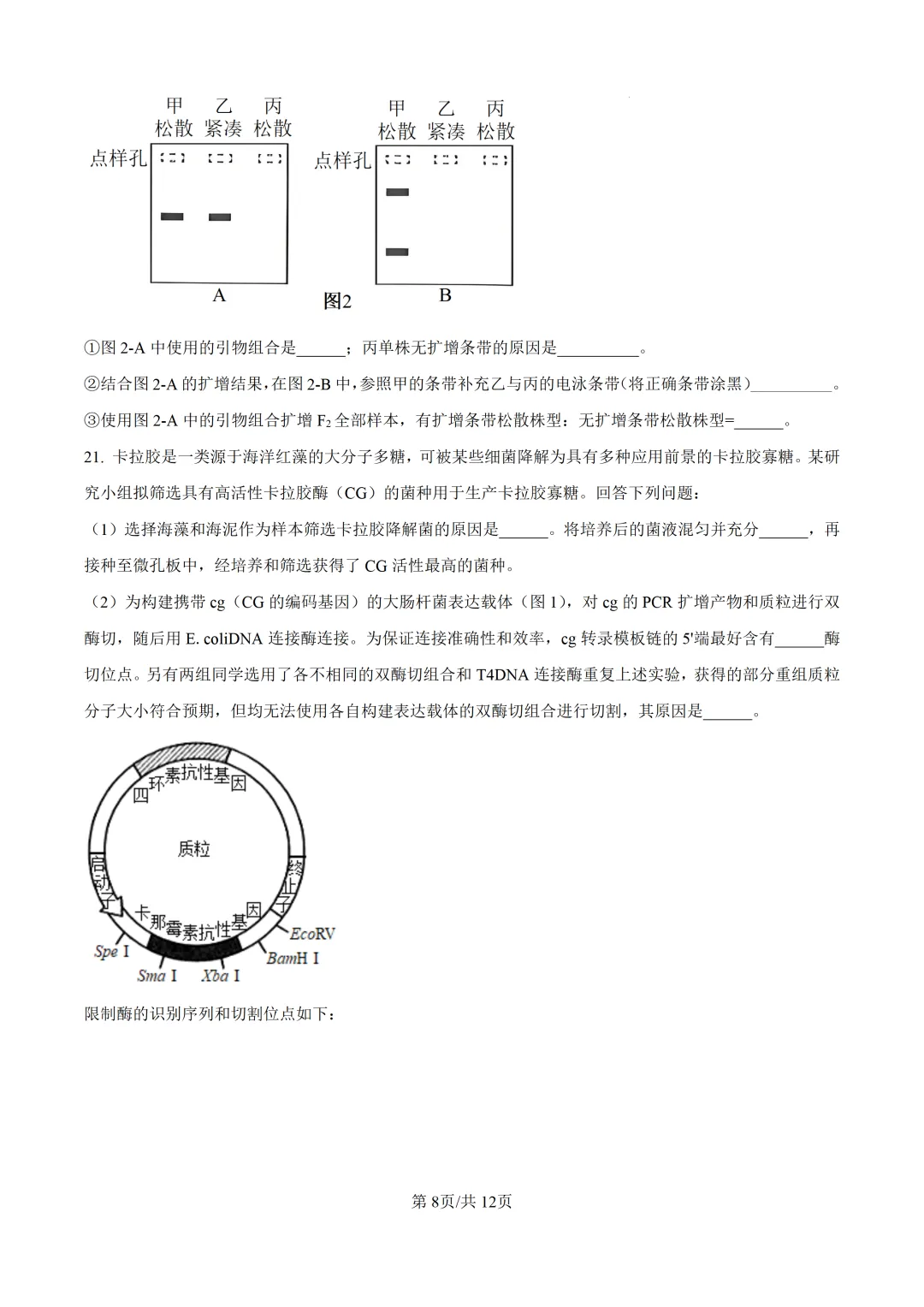 【高考真题】2025年河南省高考真题试卷(九科全,可下载)-第60张图片-四季读书网