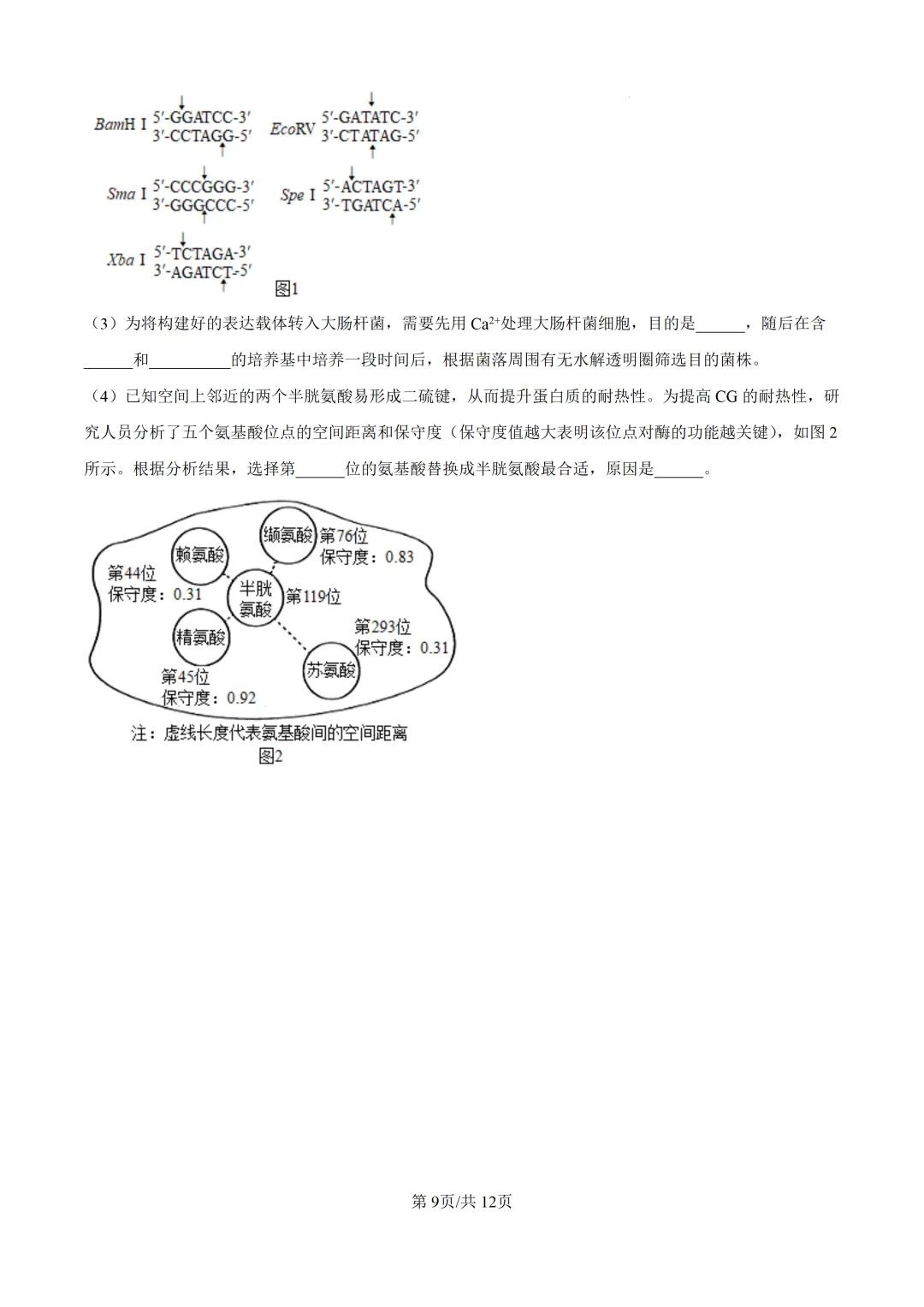 【高考真题】2025年河南省高考真题试卷(九科全,可下载)-第61张图片-四季读书网
