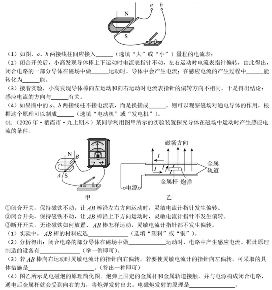 中考物理考前必练:实验专题突破(附答案)-第30张图片-四季读书网