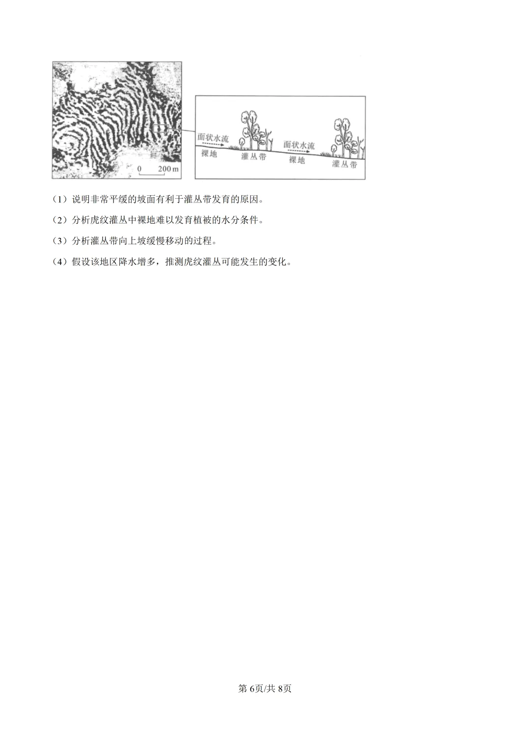 【高考真题】2025年河南省高考真题试卷(九科全,可下载)-第84张图片-四季读书网