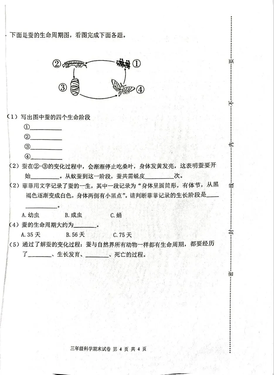 【历年真题】袁州区24-25下三年级科学-第4张图片-四季读书网