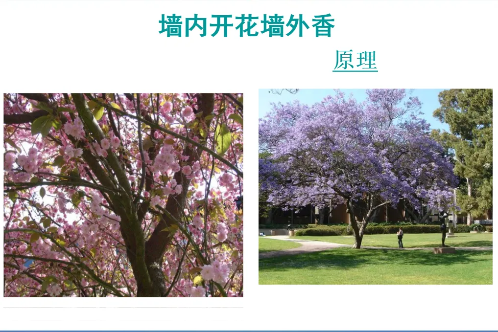 【2026中考物理专题复习7】(中考倒计时24天)中考中常见的传统文化物理问题-第21张图片-四季读书网