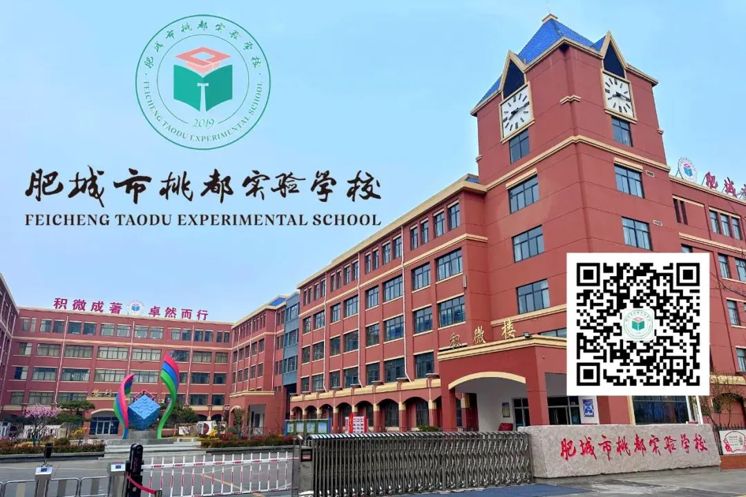 云端牵线鲁喀同心 心理赋能助力中考——桃都实验学校与岳普湖第四中学校际共建暨心理辅导报告会纪实-第14张图片-四季读书网