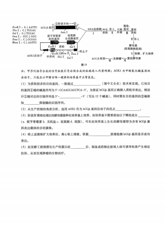 重庆市第八中学2026届高三5月模拟考试生物学试题及答案-第12张图片-四季读书网