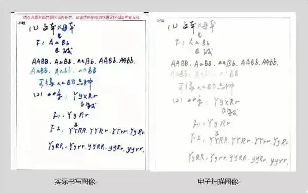 中考电脑阅卷“潜规则”,掌握少丢30分!-第9张图片-四季读书网