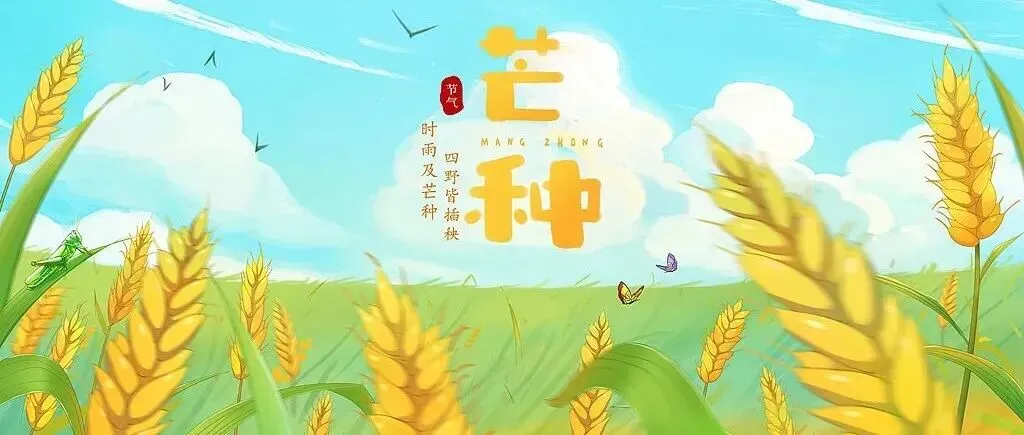 沾喜气!400年前明代状元试卷2460字 无一误笔,堪比印刷-第8张图片-四季读书网