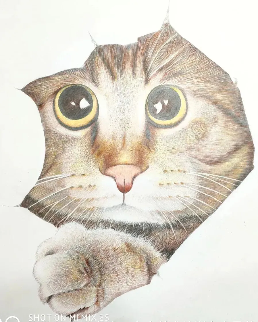 中考美术培训首推东宇画室,面对中考美术特长生难考,哪是你没有选东宇美术培训画室班,精品小班一对一培训-第6张图片-四季读书网
