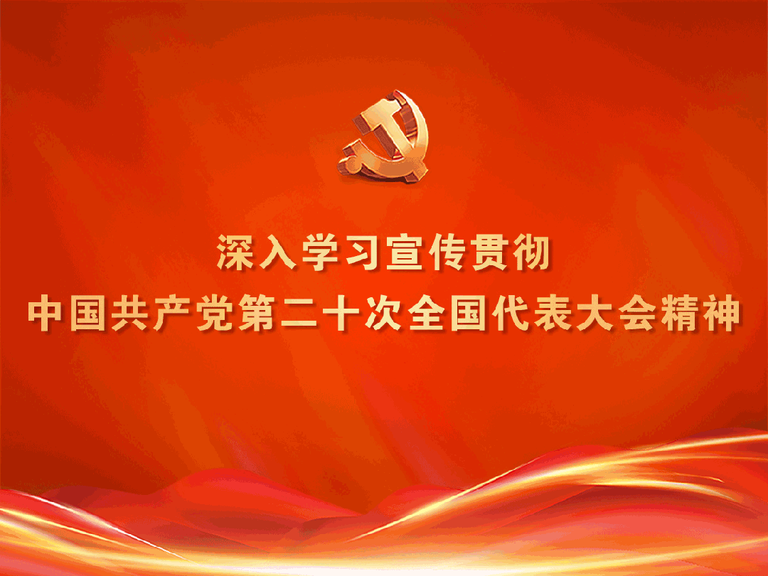 张林何益伟督导高考中考备考工作-第1张图片-四季读书网
