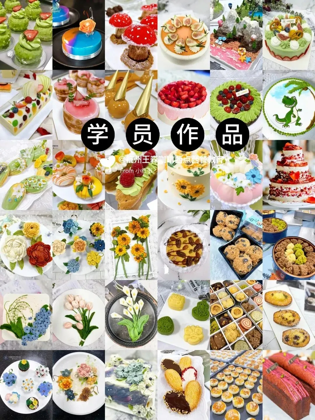中考分流不用愁|14-19 岁低分择校新出路,西点烘焙技能 + 大专学历双丰收!-第11张图片-四季读书网