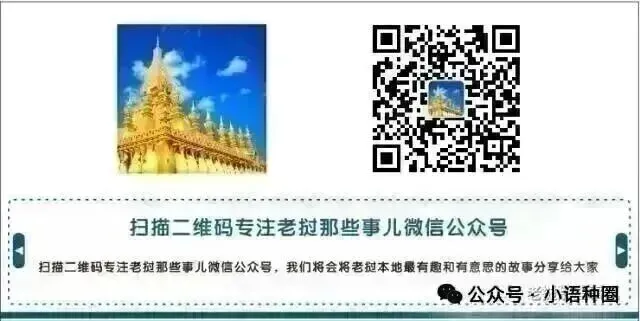 老挝中考高考来了!等等…全国考生加起来才11.2万人?教体部提醒:别信网上卖题的...-第49张图片-四季读书网