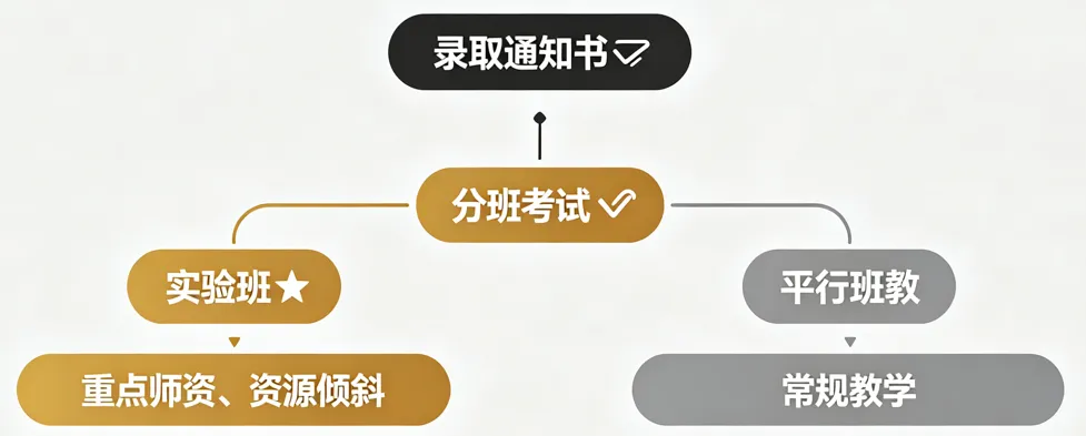 上海中考志愿填报系列·番外一,这些“潜规则”可能改变你的选择-第4张图片-四季读书网