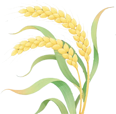 26年南昌中考特长生测试合格结果汇总(一)-第13张图片-四季读书网