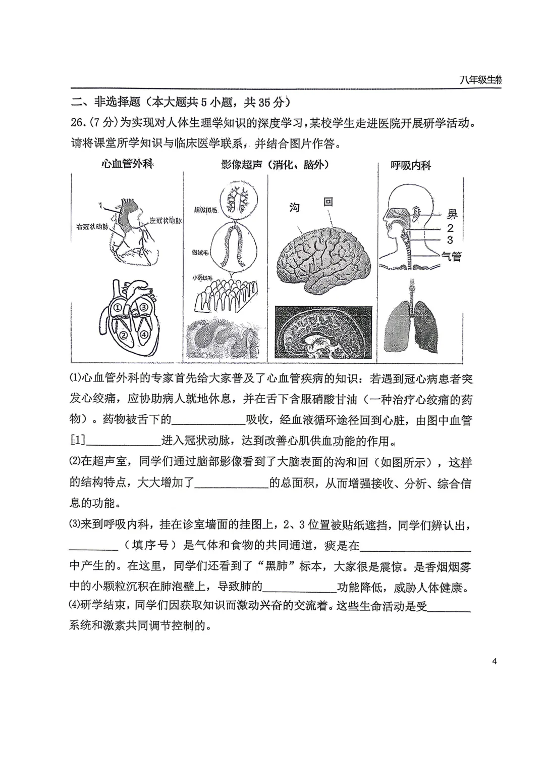 2026年6月石家庄43中二模地理生物试卷+答案-第19张图片-四季读书网