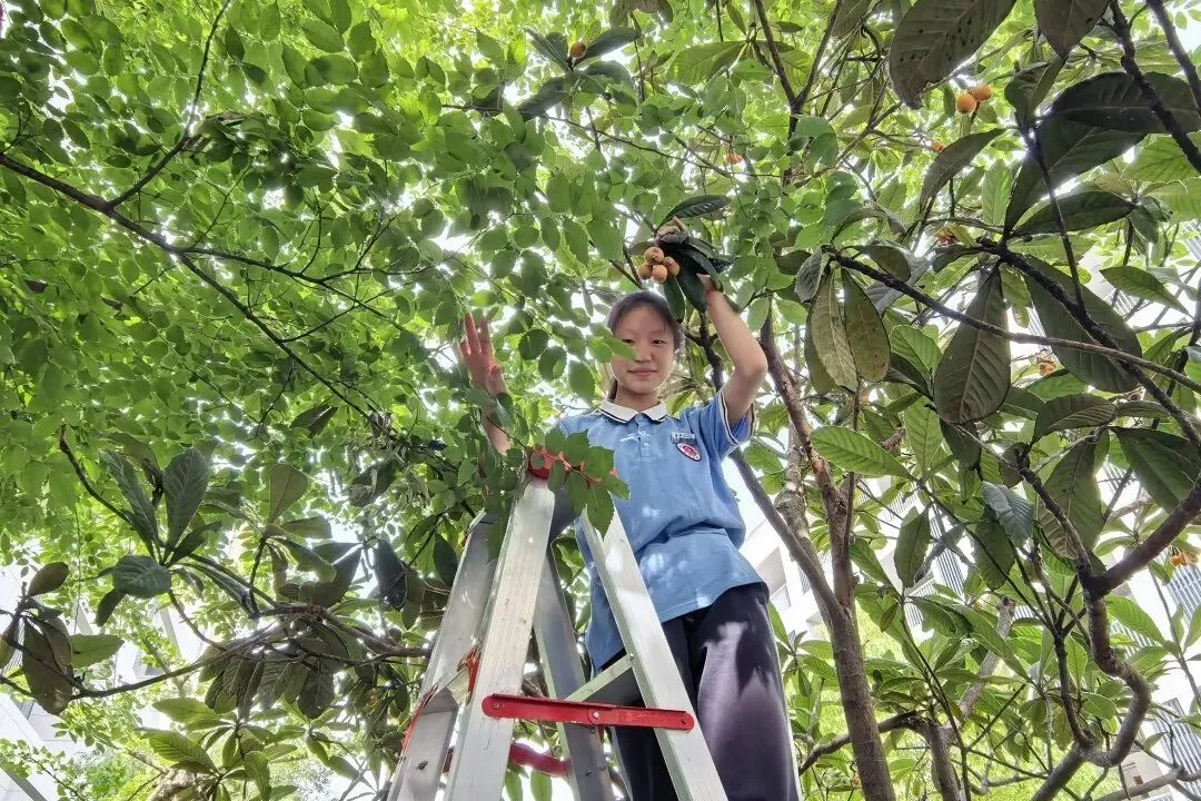 乘风奔跑,亮剑中考|第四开明中学第三届 “青春酷跑” 励志活动圆满举行-第48张图片-四季读书网