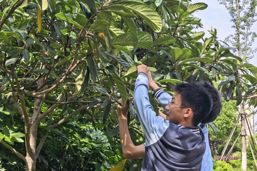 乘风奔跑,亮剑中考|第四开明中学第三届 “青春酷跑” 励志活动圆满举行-第50张图片-四季读书网