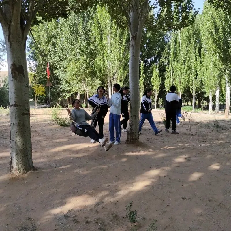 放松身心凝合力 蓄力中考向未来 —— 阿拉善左旗第四中学九年级开展社会实践减压活动-第13张图片-四季读书网