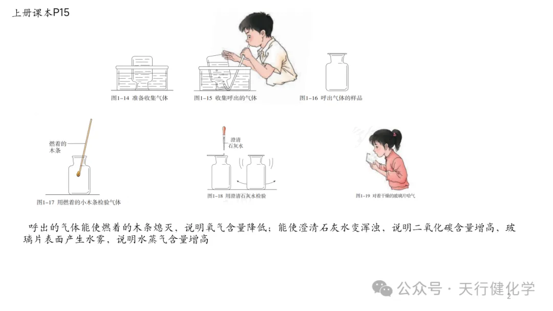 2026年中考化学复习---常考实验插图考前回顾-第2张图片-四季读书网