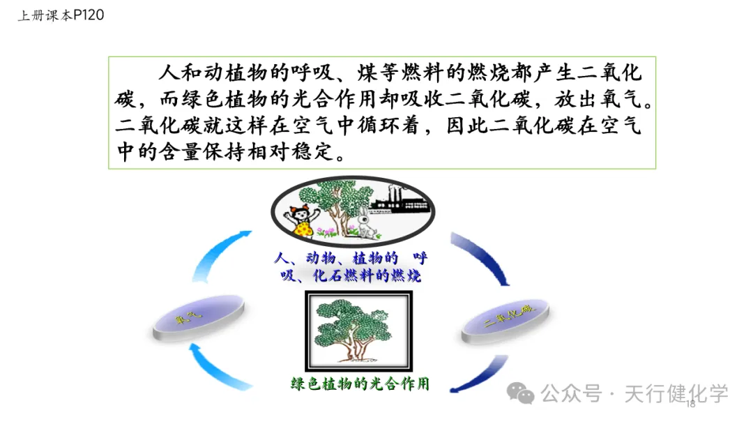 2026年中考化学复习---常考实验插图考前回顾-第18张图片-四季读书网