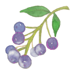 放飞梦想 笑迎中考——淮阳区心理健康教育活动在淮阳腾达学校圆满举行-第23张图片-四季读书网