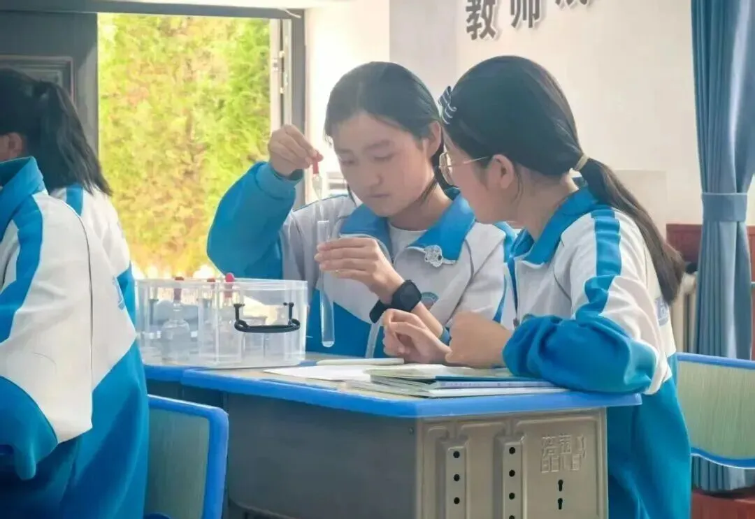 ＂面向中考 高效复习”——红寺堡区第三中学开展关于素养导向下的备考专题教研活动-第6张图片-四季读书网