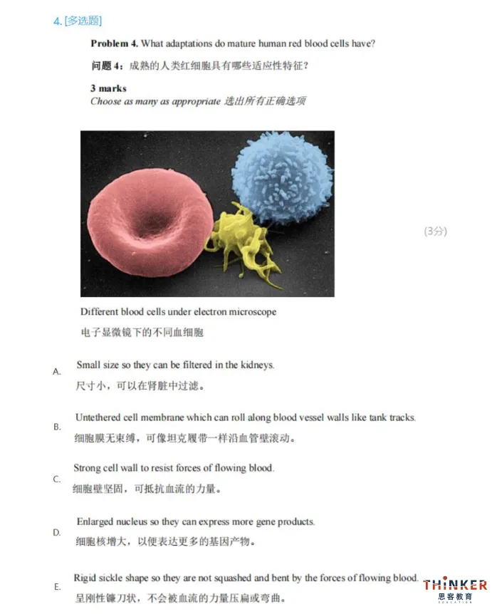 真题资料——2019-2026年BBO竞赛真题及答案解析(中英双语)pdf免费领取-第13张图片-四季读书网