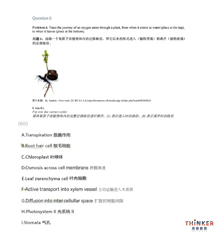 真题资料——2019-2026年BBO竞赛真题及答案解析(中英双语)pdf免费领取-第15张图片-四季读书网
