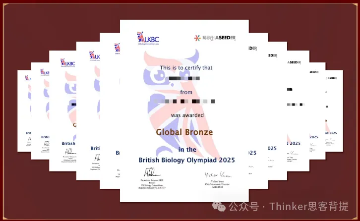 真题资料——2019-2026年BBO竞赛真题及答案解析(中英双语)pdf免费领取-第22张图片-四季读书网