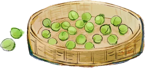 【六中时光笺】芒种迎中考| 祝莘莘学子崭露锋“芒”,一举高“种”!-第6张图片-四季读书网