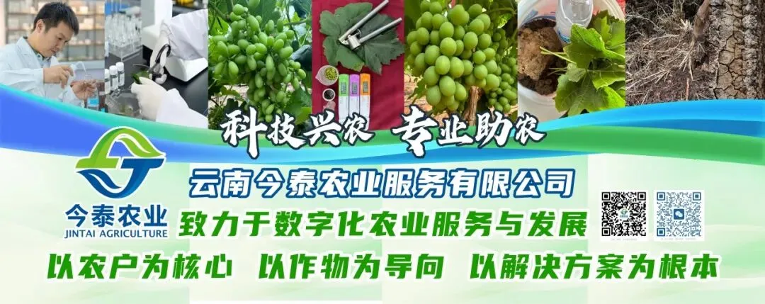 2026年高考中考期间食品安全提示-第2张图片-四季读书网