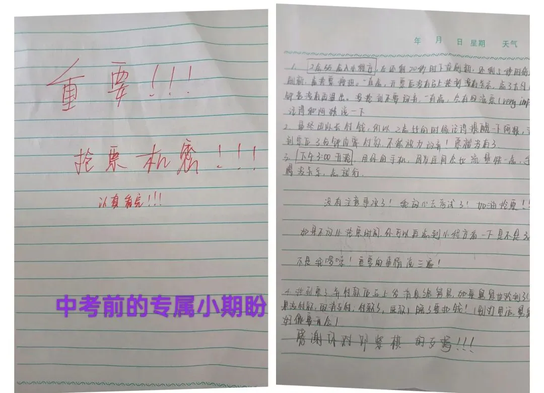 临近中考,孩子心心念念一场演唱会|学着放手,陪她奔赴小小热爱-第1张图片-四季读书网
