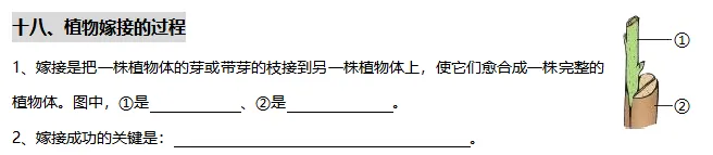 【中考生物】初中生物重要识图填空54个识图速记之十八:植物嫁接的过程-第2张图片-四季读书网