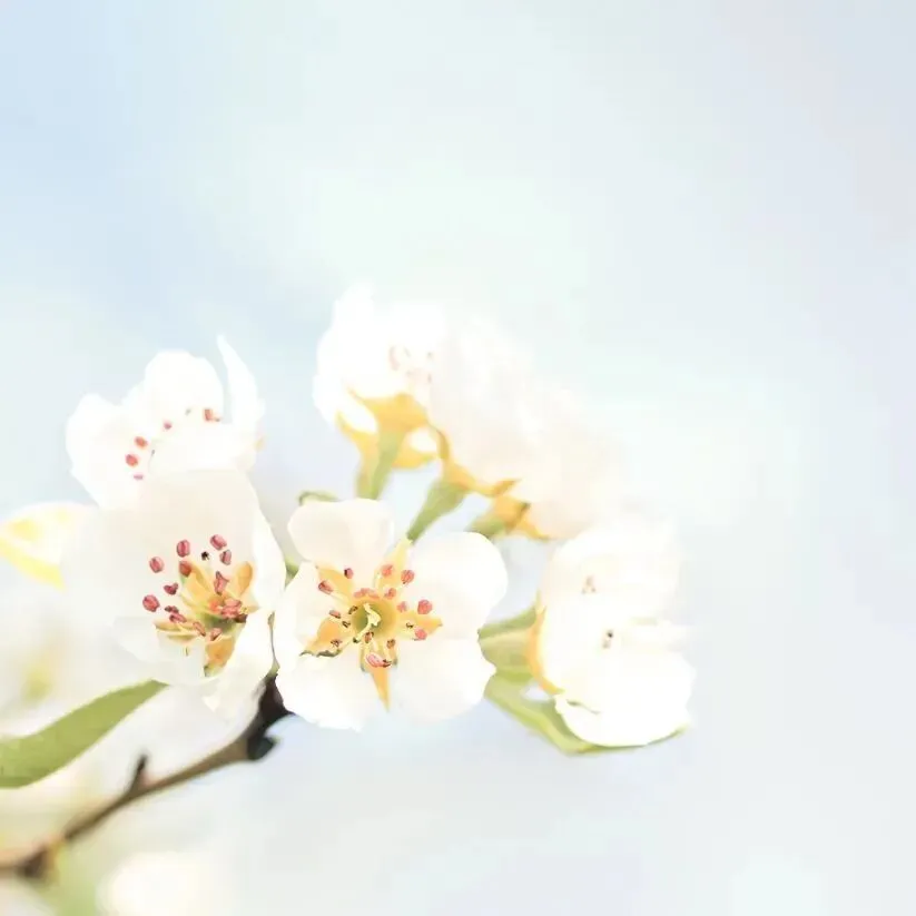 赋能心灵,蓄力中考 | 初三中考考前减压赋能团体辅导圆满开展-第39张图片-四季读书网
